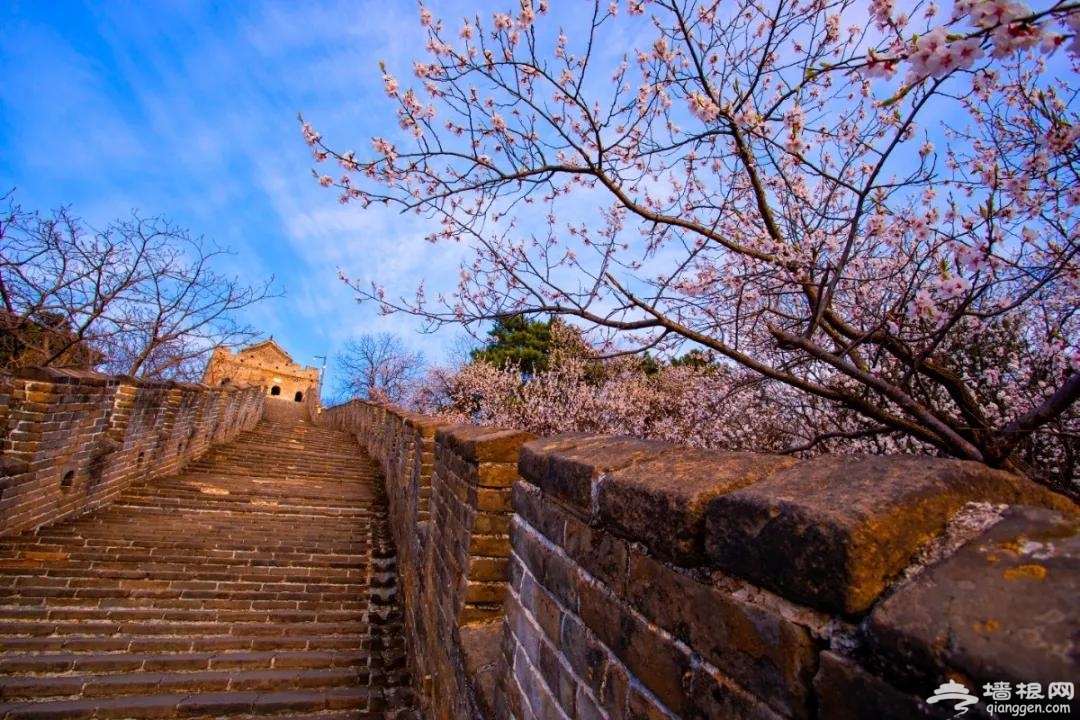 4月10日起，慕田峪长城、雁栖湖、红螺寺、青龙峡、黄花城水长城五家旅游景区恢复开放！[墙根网]