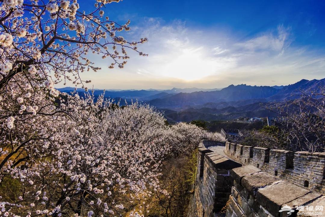 4月10日起，慕田峪长城、雁栖湖、红螺寺、青龙峡、黄花城水长城五家旅游景区恢复开放！[墙根网]