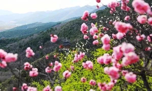 4月10日起，慕田峪长城、雁栖湖、红螺寺、青龙峡、黄花城水长城五家旅游景区恢复开放！[墙根网]