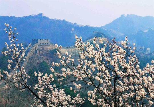 4月10日起，慕田峪长城、雁栖湖、红螺寺、青龙峡、黄花城水长城五家旅游景区恢复开放！