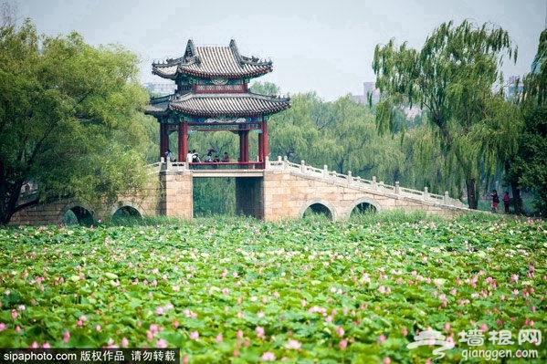 骑车游京城，感受帝都的独特魅力[墙根网]