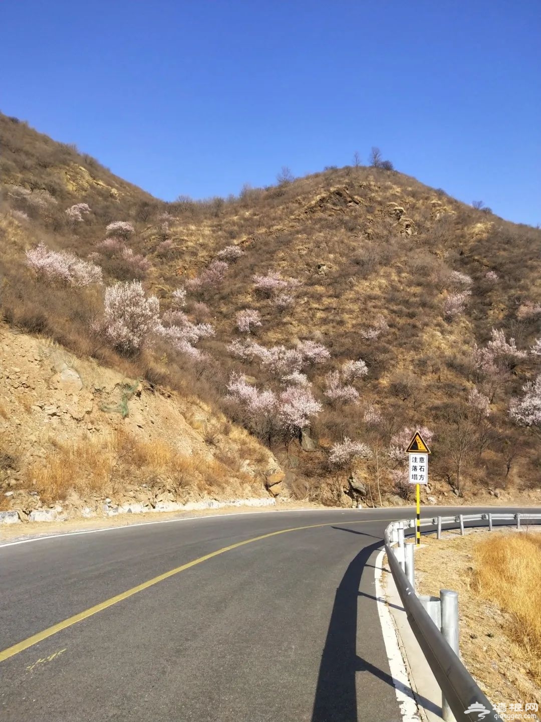 自驾京西，一眼就醉了！花海中的桃源仙境，城里人很少看到的山中美景[墙根网]