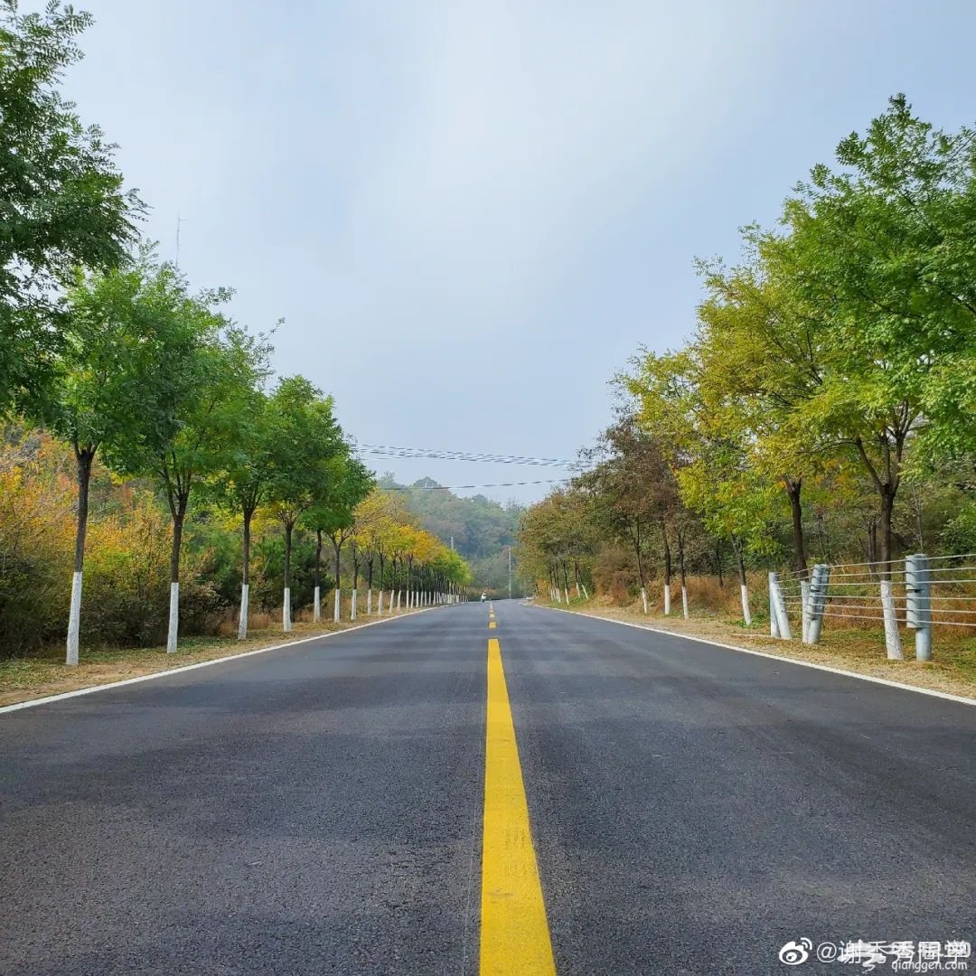 自驾京西，一眼就醉了！花海中的桃源仙境，城里人很少看到的山中美景[墙根网]