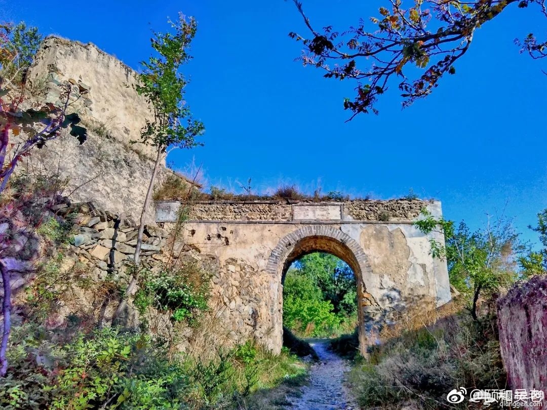 自驾京西，一眼就醉了！花海中的桃源仙境，城里人很少看到的山中美景[墙根网]