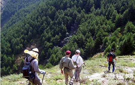 户外旅行迷路怎么办？水源方向是关键