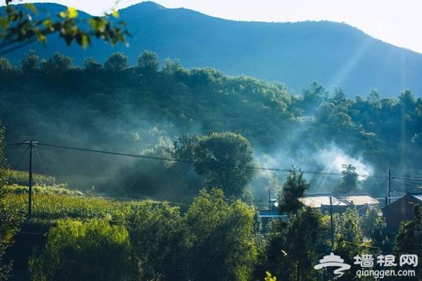 延庆万亩四季花海盛放，艳遇北京的小普罗旺斯[墙根网]