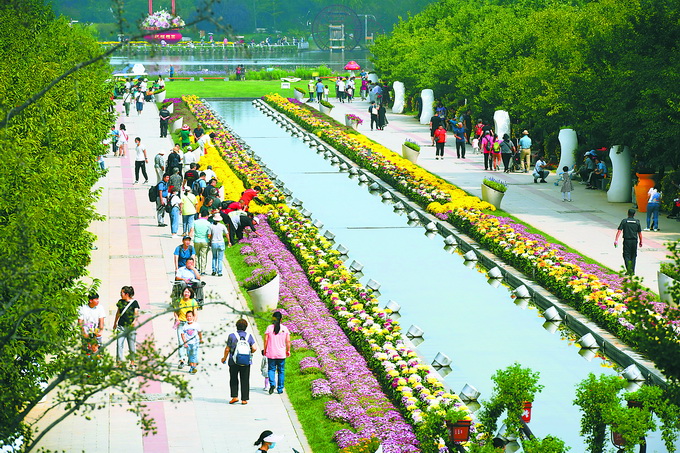 赏花观景！北京市第十二届菊花文化节开幕，40万株菊花亮相[墙根网]