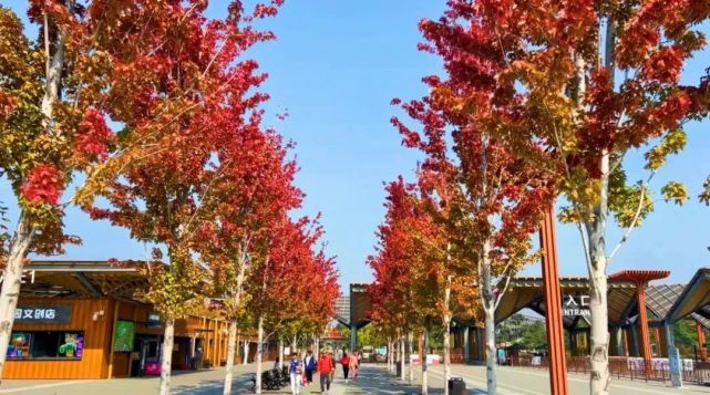 趁假期还有余额，来一场京郊短途旅行，即刻出发[墙根网]