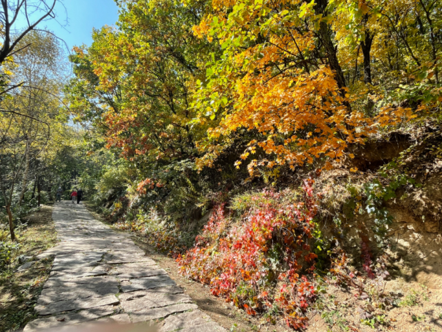 趁假期还有余额，来一场京郊短途旅行，即刻出发[墙根网]