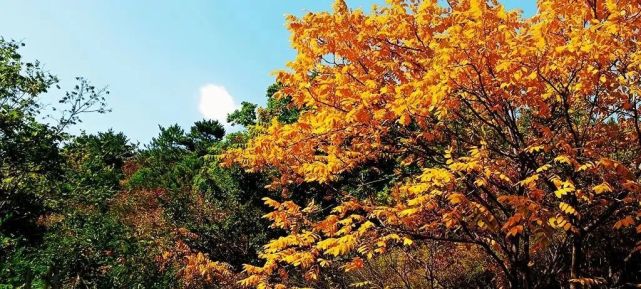 趁假期还有余额，来一场京郊短途旅行，即刻出发[墙根网]