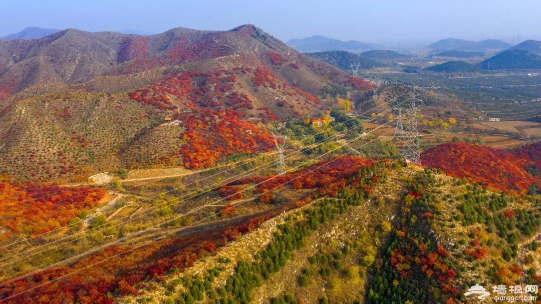 京郊顺义舞彩浅山开放，预计月底红叶进入最佳观赏期！[墙根网]