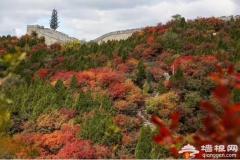 深秋时节，延庆漫山红叶在等你