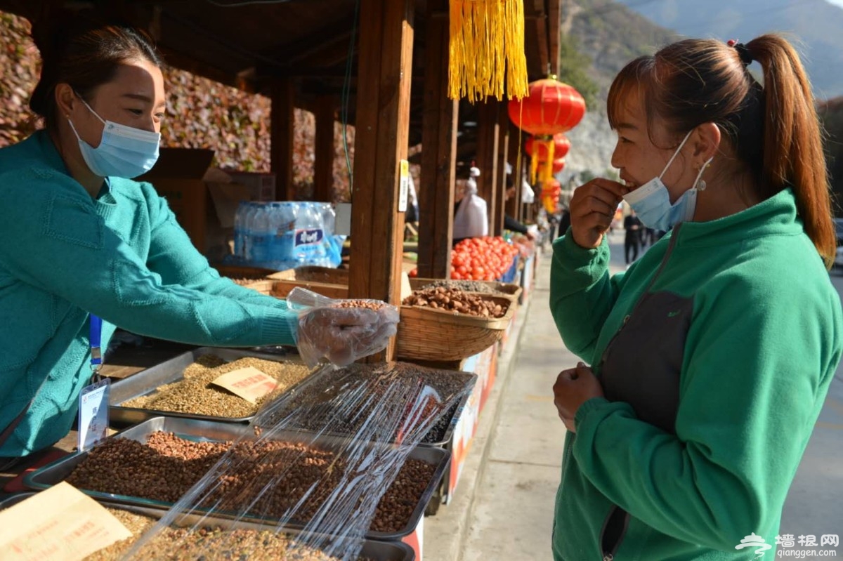 赏华北面积最大野生黄栌红叶，逛山货大集，房山坡峰岭等你来！[墙根网]