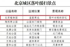 北京15家“落叶缓扫”公园名单一览 赏彩叶延至11月下旬